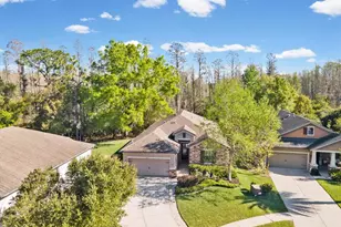 8531 May Port Ct, Land O Lakes, FL 34638 - Photo 44