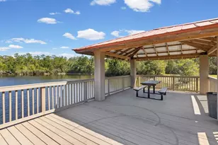 8531 May Port Ct, Land O Lakes, FL 34638 - Photo 58