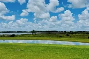 31699 Sun Kettle Loop, Wesley Chapel, FL 33545 - Photo 14