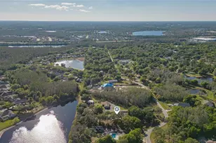 17616 Eagle Ln, Lutz, FL 33558 - Photo 48