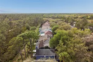 9421 Willow Cove Ct, Tampa, FL 33647 - Photo 40