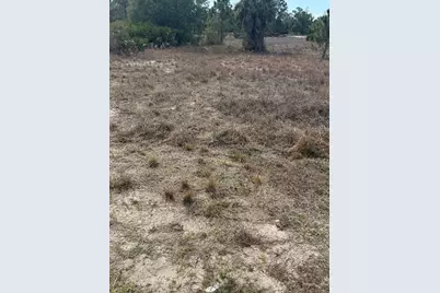 1511 Columbus Avenue, Lehigh Acres, FL 33972 - Photo 1