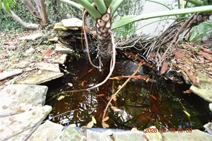 571 Luzon Ave, Tampa, FL 33606 - Photo 56