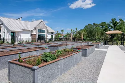 33452 Binding Ties Lane, Wesley Chapel, FL 33545 - Photo 26