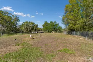 5059 Bernadette Dr, Zephyrhills, FL 33541 - Photo 72
