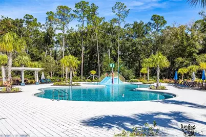 4124 Revival Lane, Land O Lakes, FL 34638 - Photo 44