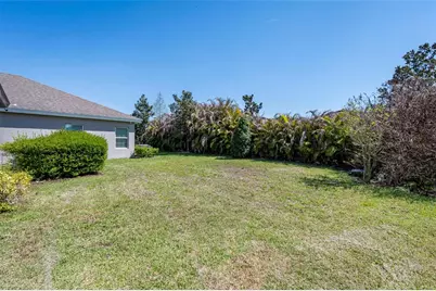 4124 Revival Lane, Land O Lakes, FL 34638 - Photo 36