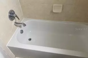 3914 Neptune St, Tampa, FL 33629 - Photo 6