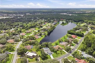 4311 River Birch Dr, Spring Hill, FL 34607 - Photo 68