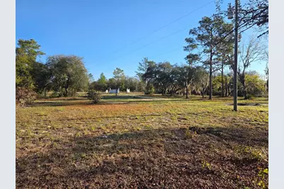 12070 NE 63rd Place, Williston, FL 32696 - Photo 32