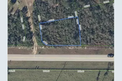 421 S Saint Johns Boulevard, Avon Park, FL 33825 - Photo 1