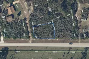 421 S St Johns Blvd, Avon Park, FL 33825 - Photo 2