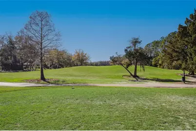 14902 Par Club Circle, Tampa, FL 33618 - Photo 24