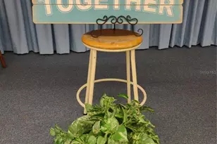 9204 36th Way N, Pinellas Park, FL 33782 - Photo 60