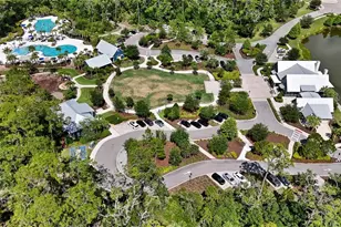 3725 Tea Leaf Aly, Land O Lakes, FL 34638 - Photo 56