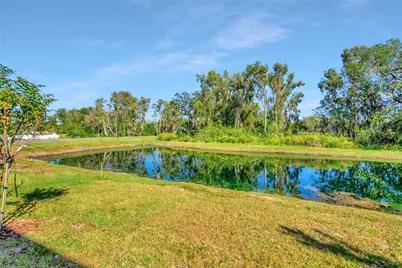 6032 Shiner Street, Land O Lakes, FL 34638 - Photo 52