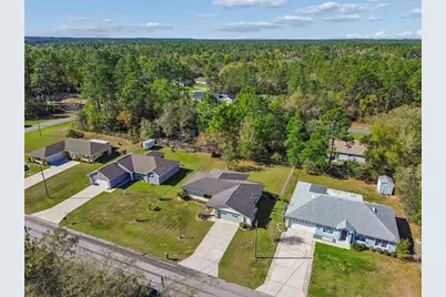 8300 N Pickinz Way, Citrus Springs, FL 34433 - Photo 48