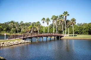 2621 Cove Cay Dr, Clearwater, FL 33760 - Photo 48