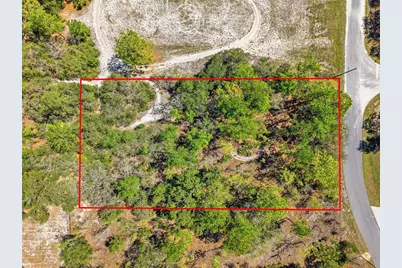 11155 Marsh Wren Avenue, Weeki Wachee, FL 34614 - Photo 10