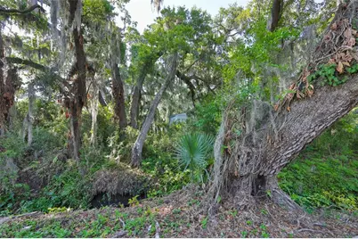 [Address not provided], Dover, FL 33527 - Photo 16