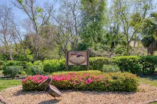 1307 Pelican Creek Crossing, Saint Petersburg, FL 33707 - Photo 68