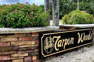 3529 Tanglewood Trail, Palm Harbor, FL 34685 - Photo 2