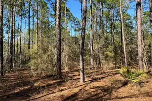 4061 N Little Dove Terrace, Hernando, FL 34442 - Photo 1