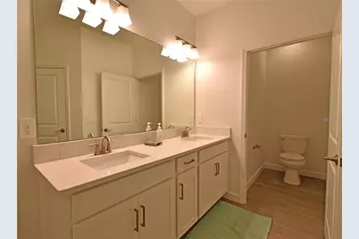 17304 Banded Gold Lane, Wimauma, FL 33598 - Photo 38