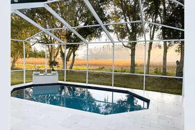 16135 Lytham Drive, Odessa, FL 33556 - Photo 2