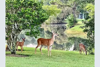 16135 Lytham Drive, Odessa, FL 33556 - Photo 58