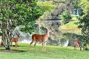 16135 Lytham Dr, Odessa, FL 33556 - Photo 58
