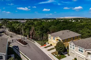 8726 Moonlit Meadows Loop, Riverview, FL 33578 - Photo 40