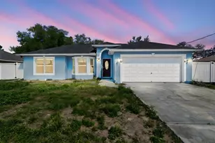 11067 Monarch St, Spring Hill, FL 34609 - Photo 1
