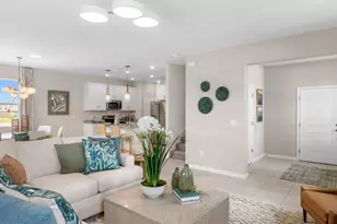 10111 Morning Meadowlark Trl, Parrish, FL 34219 - Photo 8