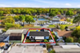 10918 Tail Feather Ct, Tampa, FL 33625 - Photo 6