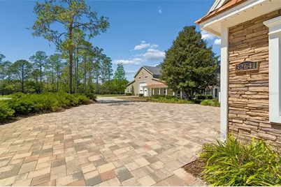 32641 Blueberry Hill Way, Dade City, FL 33523 - Photo 8