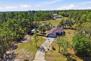 10494 Desert Sparrow Ave, Weeki Wachee, FL 34613 - Photo 46