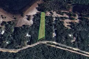 7033 Gatorbone Rd, Keystone Heights, FL 32656 - Photo 1