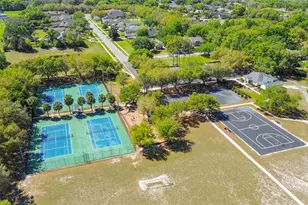 6107 Kingbird Manor Dr, Lithia, FL 33547 - Photo 54