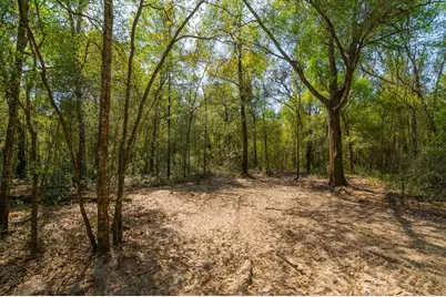 16612 Auburndale Lane, Spring Hill, FL 34610 - Photo 18