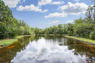 10121 Kingsbridge Ave, Tampa, FL 33626 - Photo 54