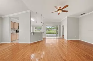 10225 Old Tampa Bay Dr, San Antonio, FL 33576 - Photo 6