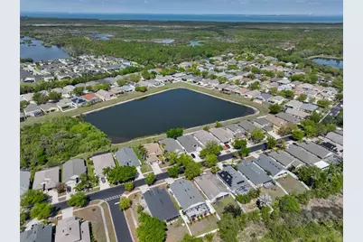 5223 Clover Mist Drive, Apollo Beach, FL 33572 - Photo 48