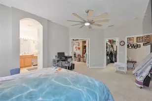 5223 Clover Mist Dr, Apollo Beach, FL 33572 - Photo 18