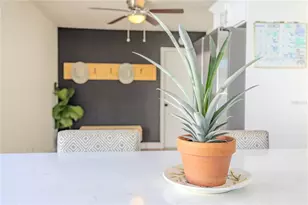 10002 Oakengate Pl, Tampa, FL 33624 - Photo 14