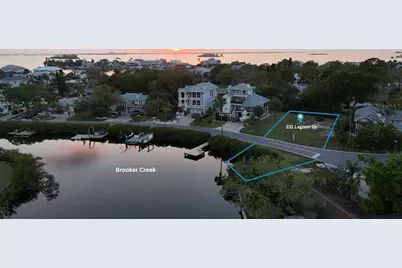 231 Lagoon Drive, Palm Harbor, FL 34683 - Photo 2