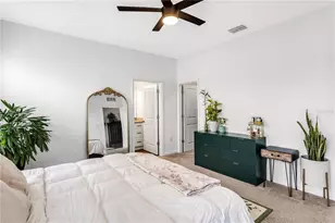 10459 Ladybug Cv, Parrish, FL 34219 - Photo 16