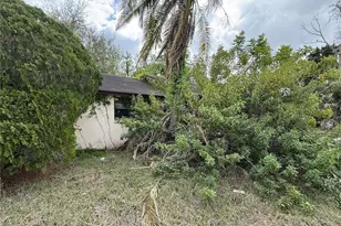 4922 Ackerman St, New Port Richey, FL 34653 - Photo 2