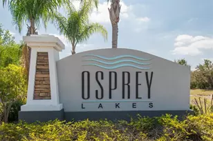 8879 Indigo Trail Loop, Riverview, FL 33578 - Photo 46