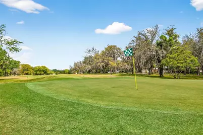 212 S Lockmoor Avenue, Temple Terrace, FL 33617 - Photo 60